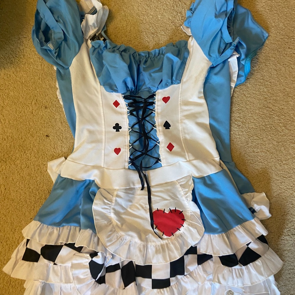 Sexy Alice and wonderland costume